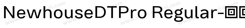 NewhouseDTPro Regular字体转换